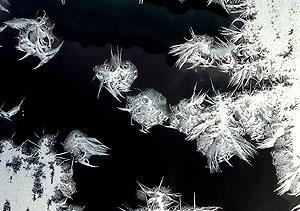 frost 1