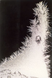 frost 2