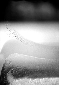 frost 3