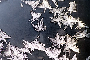 frost