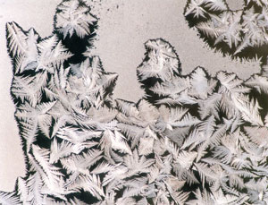 frost 5
