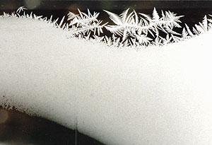 frost 6