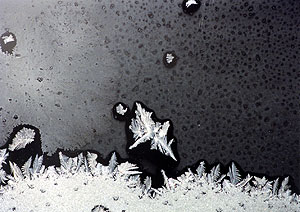 frost 7