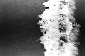 surf 1
