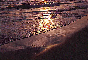 surf 13