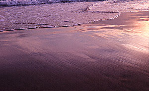 surf 20