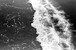 surf 4