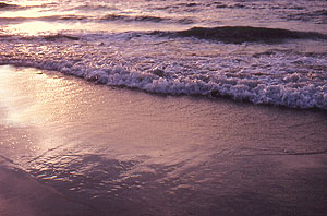 surf 42