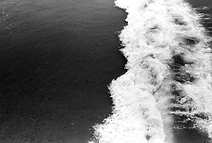 surf 5