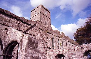 irish_abbey_C16_86_15