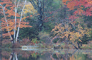 dock_101704_071