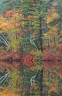 fall_colors_on_the_lake_101704_074