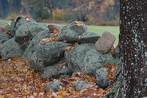 stone_wall_with_fall_colors_101704_046